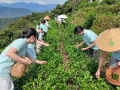 以脚步丈量沃土，以汗水浇灌青春